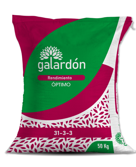 Web Galardón_Mesa de trabajo 1 copia 7